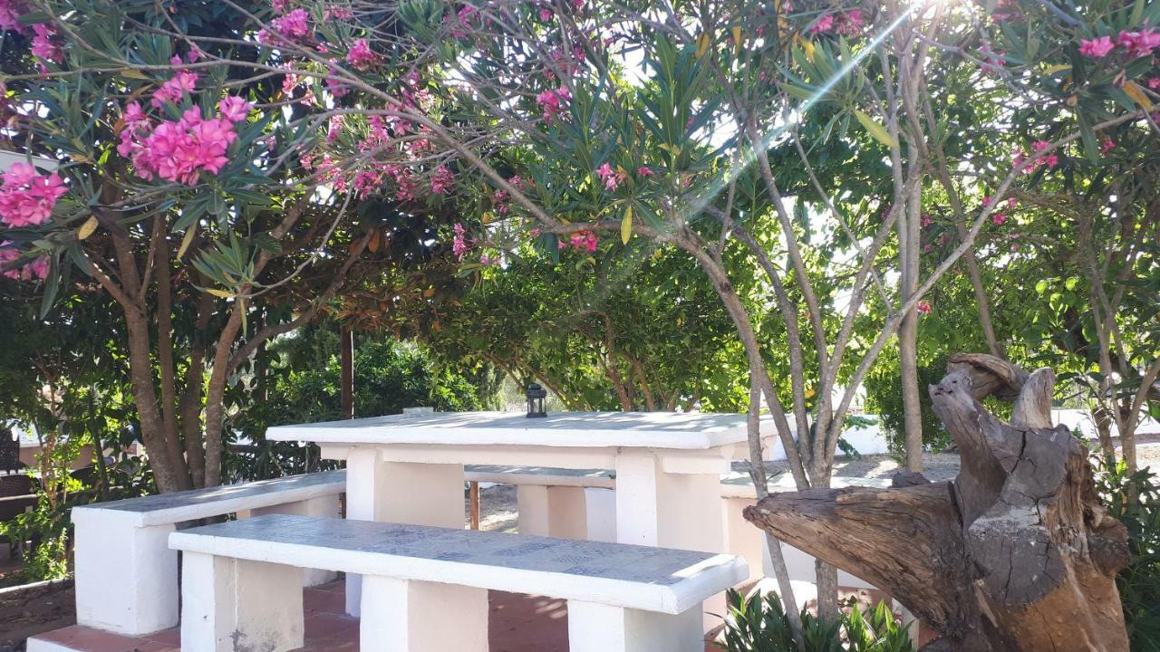 Palacete Dos Alcaides Minas de São Domingos Eksteriør bilde